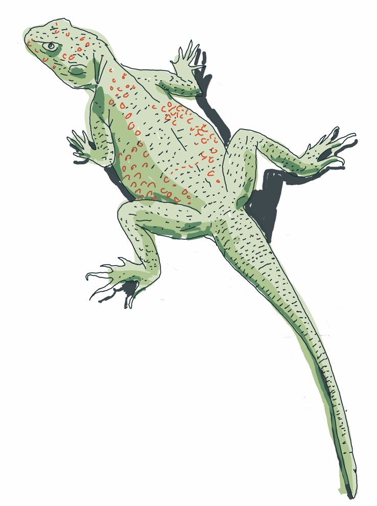 3c